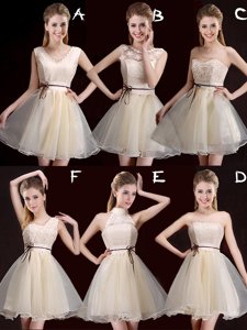 V-neck Sleeveless Lace Up Quinceanera Dama Dress Champagne Organza