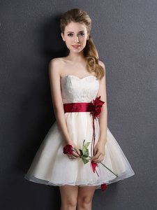 Champagne Organza Lace Up Sweetheart Sleeveless Mini Length Quinceanera Dama Dress Lace and Hand Made Flower