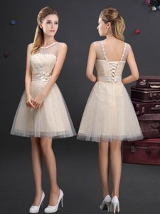 Chic Mini Length Champagne Quinceanera Court Dresses Scoop Sleeveless Lace Up