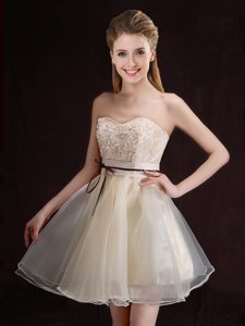 Fashion Sleeveless Mini Length Appliques and Belt Lace Up Quinceanera Court of Honor Dress with Champagne