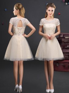 Scoop Sleeveless Quinceanera Court of Honor Dress Mini Length Appliques Champagne Tulle