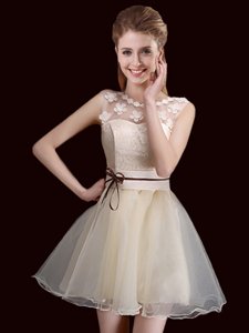Fine Scoop Mini Length Lace Up Court Dresses for Sweet 16 Champagne and In for Prom and Party with Lace