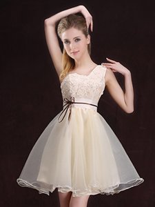 Charming Champagne Dama Dress for Quinceanera Prom and Party and Wedding Party and For with Appliques and Belt One Shoulder Sleeveless Lace Up
