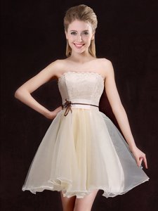 Tulle Square Sleeveless Lace Up Sequins and Bowknot Quinceanera Dama Dress in Champagne