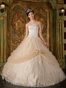 Strapless Champagne Appliques Tulle Quinceanera Dress
