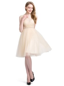 Champagne A-line Beading and Lace Prom Dresses Clasp Handle Tulle Sleeveless Knee Length