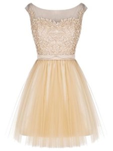 Designer Champagne Tulle Zipper Bateau Sleeveless Mini Length Homecoming Dress Lace