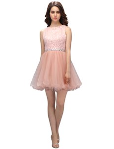 Scoop Sleeveless Zipper Evening Dress Pink Organza