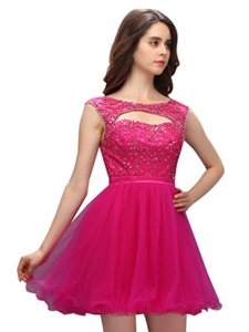 Simple A-line Homecoming Dress Fuchsia Bateau Organza Sleeveless Mini Length Zipper