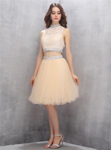 Knee Length Champagne Dress for Prom High-neck Sleeveless Zipper