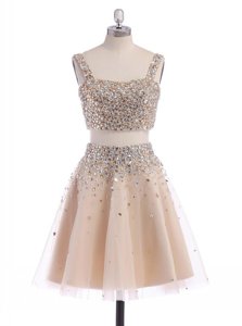 A-line Evening Dress Champagne Straps Organza Sleeveless Mini Length Zipper