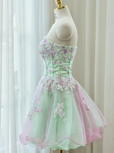 Exquisite Multi-color Zipper Strapless Beading and Appliques Evening Dress Organza Sleeveless