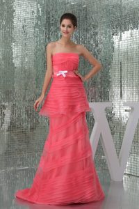 Watermelon Strapless Brush Train Prom Mother Of The Bride Dresses
