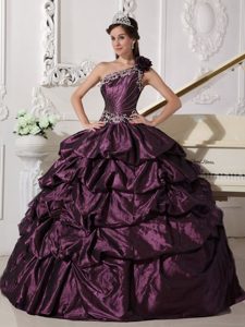 One Shoulder Appliques Dark Purple Pick-ups Quinceanera Dress