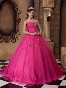 Hot Pink Beading Organza Quinceanera Dress with Colorful Appliques