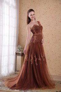 One Shoulder Appliques Sheath Brush Tulle Prom Dress in Brown