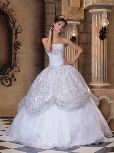 Sequins Strapless Pick-ups Organza Sweet Sixteen Quinceanera Dresses