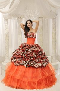 Special Leopard Print Multi-color Sweet 15 Quinceanera Dress