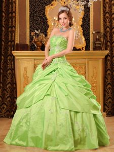 Appliqued and Ruched Quinceanera Gown Dresses in Spring Green