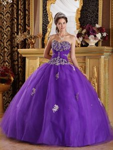 Aurora CO Lavender Quinces Dresses with Appliques on Promotion