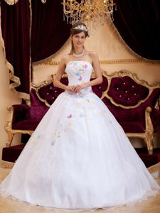 White a Line Organza Quinceanera Dresses with Colorful Embroidery
