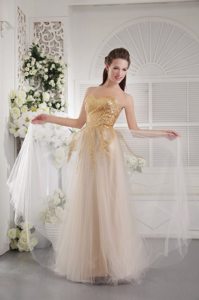 Gold Sequined Bodice Long Prom Graduation Dress in Champagne 2014