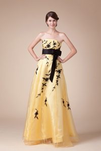 Embroidery Prom Homecoming Dresses Strapless with Bowknot for 2013