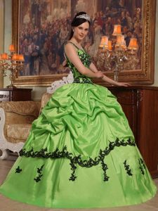 Spring Green Straps Quinceanera Gown Dress with Appliques 2014