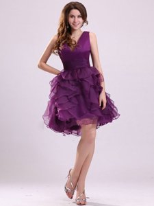 Purple Ball Gowns Ruffles Prom Party Dress Zipper Organza Sleeveless Floor Length