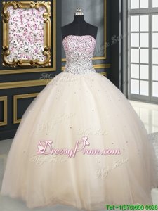 Elegant Champagne Sleeveless Tulle Lace Up Quinceanera Gown forMilitary Ball and Sweet 16 and Quinceanera