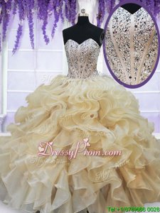 Delicate Floor Length Ball Gowns Sleeveless Champagne Sweet 16 Dresses Lace Up