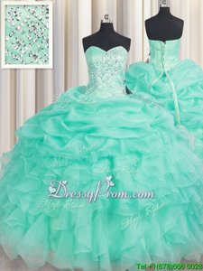 Admirable Ball Gowns 15 Quinceanera Dress Apple Green Sweetheart Organza Sleeveless Floor Length Lace Up