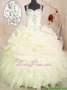 Enchanting Ball Gowns 15 Quinceanera Dress Light Yellow Straps Organza Sleeveless Floor Length Zipper