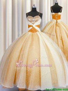 Customized Summer and Fall and Winter Organza Sleeveless Floor Length Vestidos de Quinceanera andBeading and Ruching