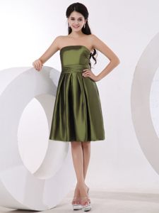 Luxurious Strapless Quinceanera Dresses Knee-length in Olive Green