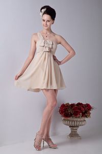 Champagne Mini-length Ruched One Shoulder Chiffon Dama Dresses