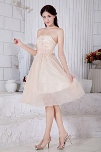 Cheap Champagne Strapless Knee-length Dama Dress with Appliques