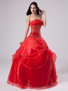 Attractive Organza Red Sweet Sixteen Dresses Ruche with Embroidery