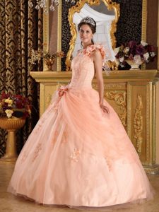 Recommended Appliques Quinceanera Dress Hand Made Flowers Tulle