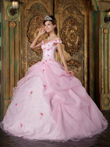 Off the Shoulder Ruffled Sweet Sixteen Dresses Pink with Appliques
