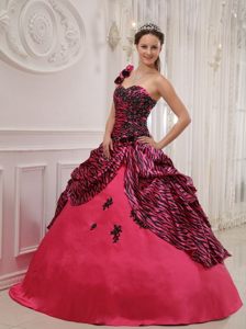 Appliqued Flowery One Shoulder Hot Pink Sweet 15 Dresses Zebra