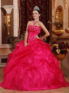 Appliques and Pick ups Accent Quinceanera Gown Dresses in Hot Pink