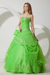 Embroidered Organza Quinceanera Gown Dresses in Spring Green