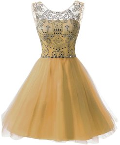 New Style Scoop Sleeveless Zipper Knee Length Beading Prom Gown