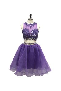 Scoop Lavender A-line Beading and Appliques Prom Party Dress Side Zipper Tulle Sleeveless Knee Length