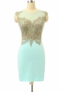 Attractive Sleeveless Side Zipper Mini Length Lace Prom Dresses