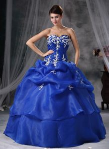 Appliques and Pick ups Accent Blue Organza Quinces Dresses 2014