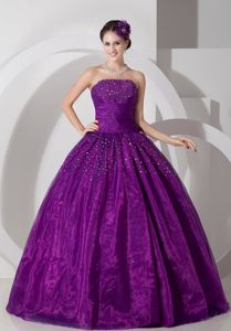 Beading Accent Organza Quinces Dresses in Eggplant Purple 2014