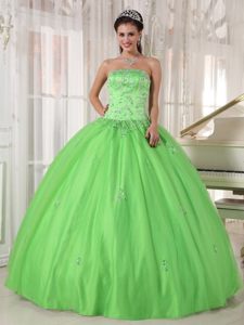 Roseville CA Beaded Taffeta Quinces Dresses in Spring Green 2014