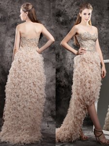 Customized Tulle Sweetheart Sleeveless Zipper Appliques and Ruffles Prom Party Dress in Champagne